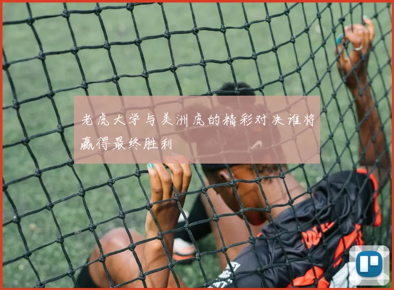 老虎大学与美洲虎的精彩对决谁将赢得最终胜利