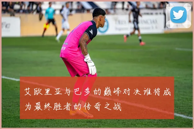 艾欧里亚与巴多的巅峰对决谁将成为最终胜者的传奇之战