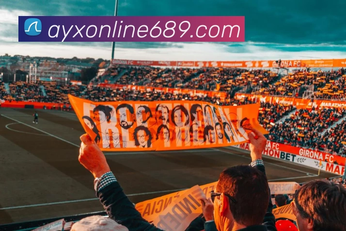 爱游戏体育发展历程